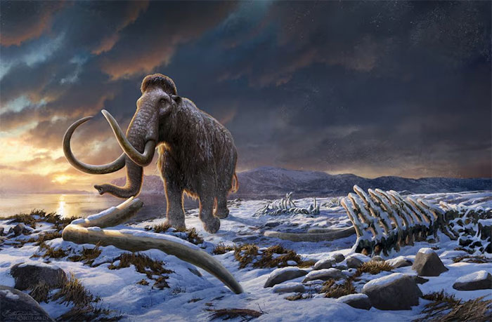 What caused mammoths to disappear on Earth?